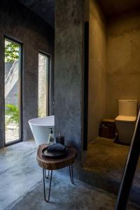 Experiencia natural única Tulum