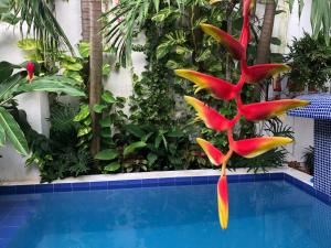 Hotel Boutique Ana Lorenza