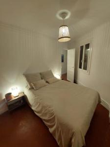 Conservatoire - Cours Julien