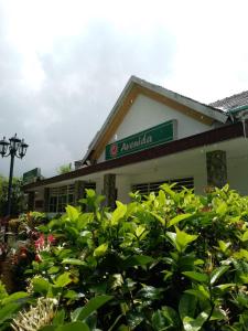 hotel avenida53