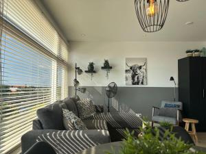 De schelp 71, Free parking