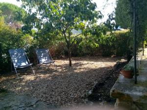 Maisons de vacances la bastide aux buis avec piscine : photos des chambres