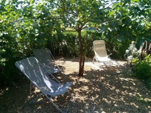 Maisons de vacances la bastide aux buis avec piscine : photos des chambres