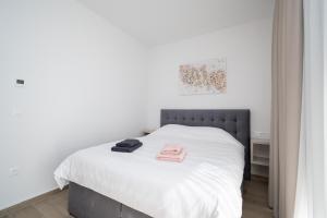 Family friendly house with a swimming pool Bibinje, Zadar - 23364