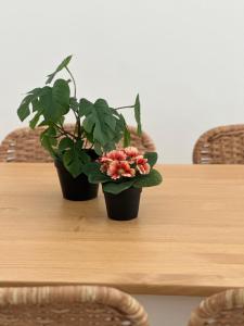 Apartamento Estrellas de Mar