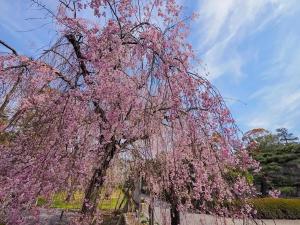 MUSUBI HOTEL Kyoto Shijo-Omiya