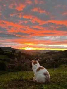 La petite maison dans la campagne - Charencey