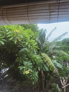 Fishermens Guesthouse