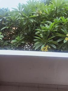 Fishermens Guesthouse