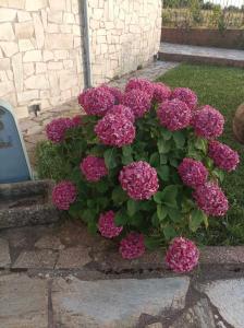 Εξοχικό σπίτι στο βουνό