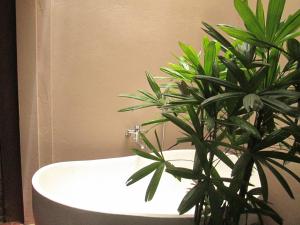 Ninh Binh Nature Homestay