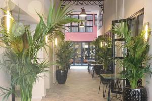 Anise, Aluma Hotels & Resorts