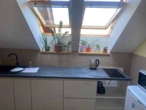 Penzion Rosnicka Liesek