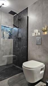 Apartament ViWaldi bike and ski