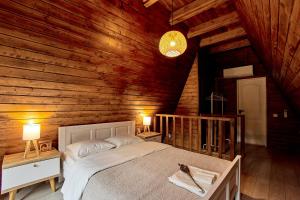 Roman A Frame Vișeu de Sus