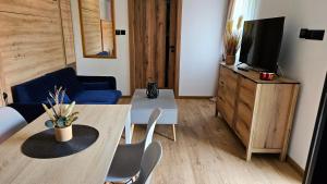 Apartament ViWaldi bike and ski