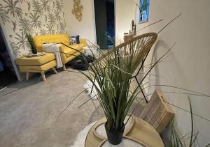 Cottage entier 4 pers - Cosy Atmosphere en bord de mer - 60 m2