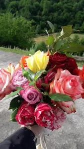 GergHouse - Madniskhevi