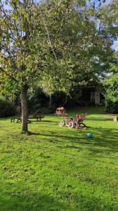 Appartements gite au jardin romantique pour 2 personnes : photos des chambres