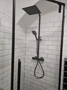 Ferienwohnung Gräfin Cosel