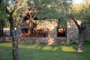 Olive Garden Toroni