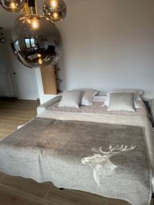Appartements Le Havre de Paix - Proche Obernai - Gite 4 etoiles - Terrasse & Parking prives : photos des chambres