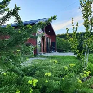 Villa Grashtica - Prishtina City - Orllan