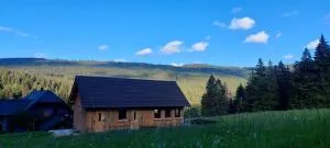 Lyžařská chata - Račí