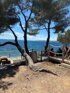 Bungalow vue mer, jacuzzi, terrase, jardin