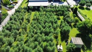 Villa Fiorita a Puegnago - BGL