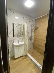 Didi digomi Hotel type