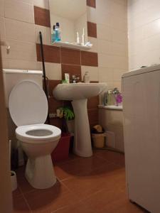 Cazare aproape de Untold Garsoniera Manastur