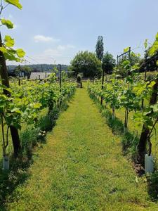 Halte Sint-Gerlach Holiday Home