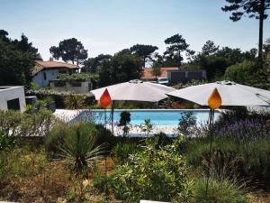 Appartement vue mer piscine