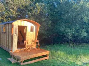 Shepherds Hut on Alpaca and working farm - Ffestiniog