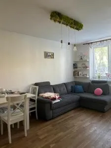 Your Home - Budimír