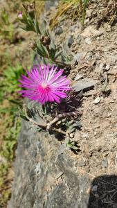 Mini casa appartamento chambre dhotes La Rovere