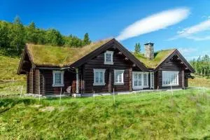 Cozy family cabin with stunning location on Golsfjellet - Lykkja