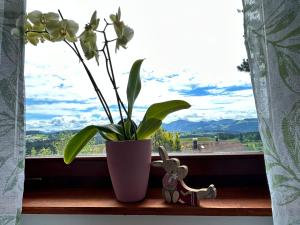 Appart am Hang mit Alpenblick