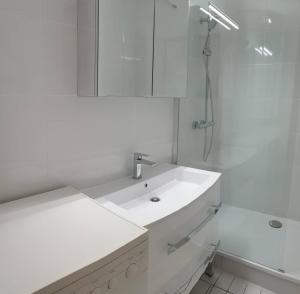 Quartier Couchant Appartement t2 pour 4 personnes N115