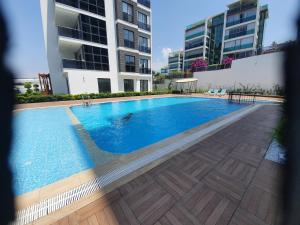 A dreamy luxury one-bedroom apartment with special views of the forest, sea and sunset