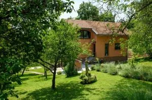 Rural vacation house Greenville - Entire propery - Otruševec