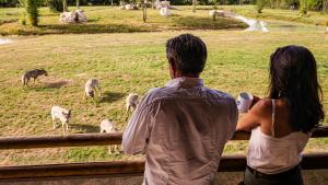 Lodges insolites chez RDV en Terre Animale : LODGE LOUPS