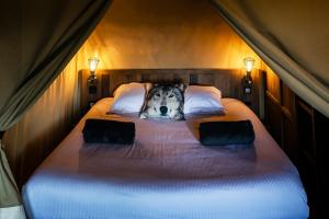 Lodges insolites chez RDV en Terre Animale : photos des chambres
