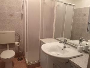 Apartma Vitez 