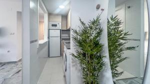 OleHolidays Costabella 2 junto al mar