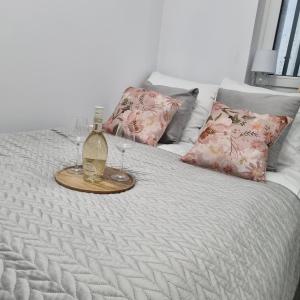 Apartament Chopina IV