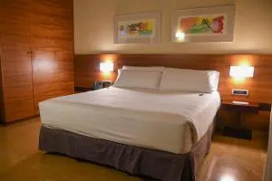 Sercotel Palacio de Tudemir - La Aparecida