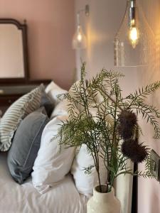 Maes Y Neuadd Country House