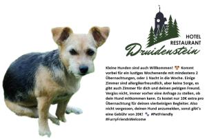 Standard Single Room room in Hotel-Restaurant Druidenstein
